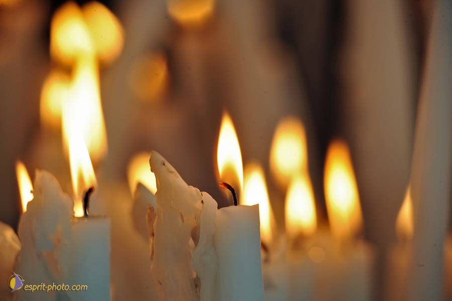 Nom de l'image : D30030330_1_(c)Norbert-JUNG — Description :